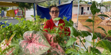 Produtora de Cuiabá supera câncer e transforma cultivo de plantas em negócio com apoio do Governo de MT