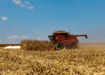 MT deve liderar PIB dos estados brasileiros em 2025