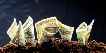 Crédito rural do Plano Safra 2024/25 já soma R$ 330,9 bilhões