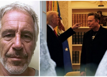 Musk recua e deleta tuíte que associou Trump a caso Epstein