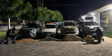 Forças de segurança apreendem 215 tabletes de entorpecentes e causam prejuízo de R$ 3,4 milhões às facções criminosas