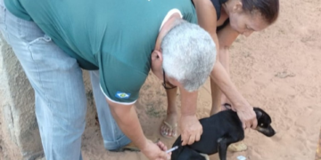 Município realiza vacinação de pets de porta em porta