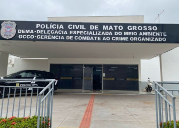 Mulher trans é presa por adotar e matar gatos em Cuiabá; polícia apura se houve zoofilia