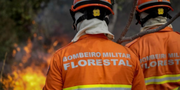 Corpo de Bombeiros realiza Congresso Internacional de Gestão de Incêndios Florestais a partir de segunda-feira (16)