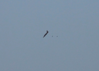 É #FAKE que vídeo mostre avião militar de Israel sendo abastecido no céu do Irã; manobra ocorreu no espaço aéreo da Síria