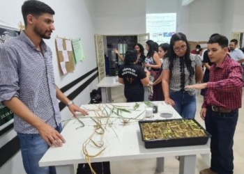 Mostra Estadual das Escolas Técnicas da Seciteci registra recorde de inscritos