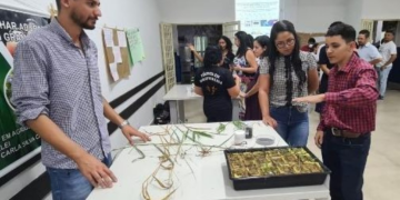 Mostra Estadual das Escolas Técnicas da Seciteci registra recorde de inscritos