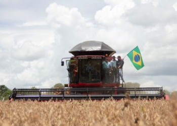 PIB avança 7,7% no 1º trimestre com força da agropecuária