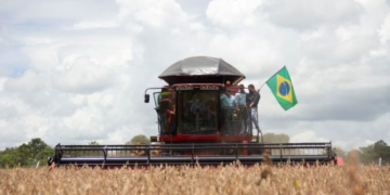 PIB avança 7,7% no 1º trimestre com força da agropecuária