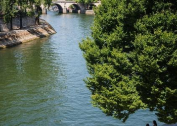 Paris volta a permitir nado no rio Sena 100 anos após proibição