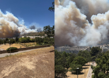 Incêndio florestal no sul da França fecha aeroporto e chega nos arredores de Marselha; prefeitura pede para pessoas ficarem em casa