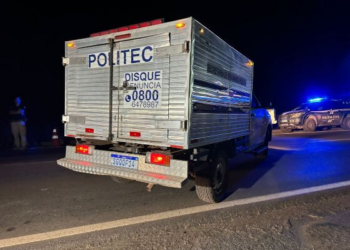 Saveiro tenta desviar de anta na pista, bate em caminhão e deixa um morto