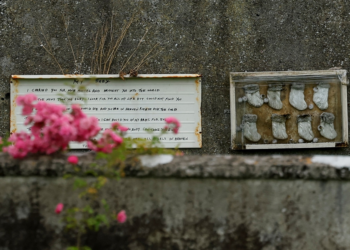 Irlanda começa a tentar identificar quase 800 corpos de bebês em cova coletiva gerida pela Igreja Católica