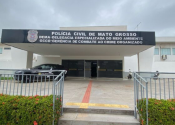 Polícia encontra 5 gatos mortos e homem é preso