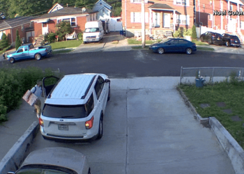 VÍDEO: Homem é atacado por peru ao tentar entrar no carro em Nova York, nos EUA