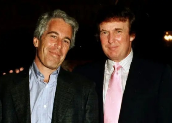 Trump na lista de Epstein? O que diz a Casa Branca