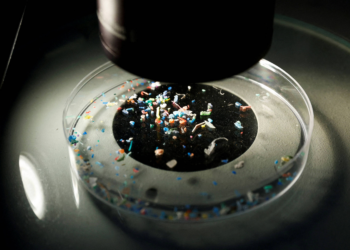 Estudo encontra microplásticos em placentas e cordões umbilicais de gestantes brasileiras