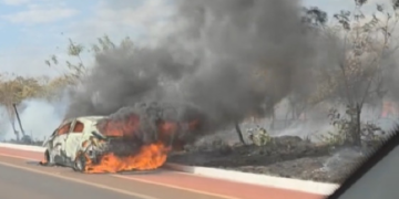 Carro pega fogo e chamas se alastram para mata; vídeo