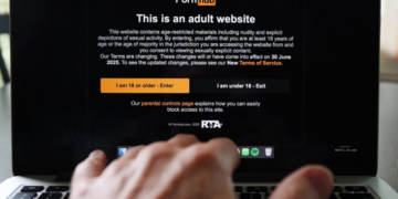 Por que EUA, França e Reino Unido estão restringindo o acesso a sites de pornografia