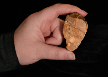 Artefato indica viagem oceânica de hominínios há 1 milhão de anos