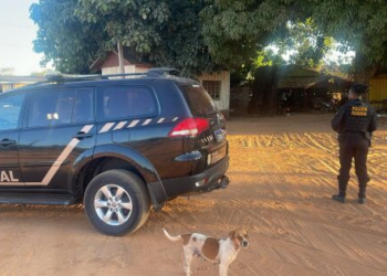 Bando é alvo da PF por extração ilegal de madeira