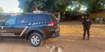 Bando é alvo da PF por extração ilegal de madeira