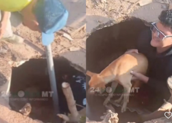 Moradores resgatam cachorro que caiu em buraco em VG