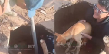 Moradores resgatam cachorro que caiu em buraco em VG
