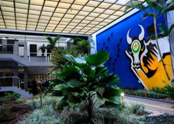 Governo de MT publica decreto proibindo contratação de consignados por telefone