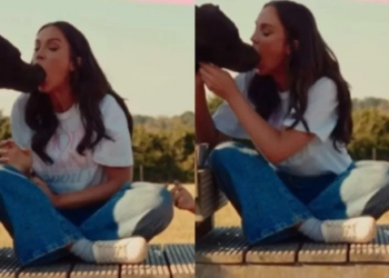 VÍDEO: Influenciadora dá 'beijo de língua' em cachorro e choca seguidores