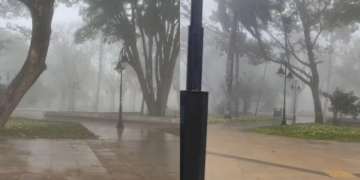 Chapada amanhece tomada por neblina; veja vídeo