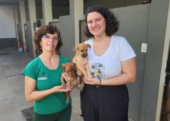 Lunaar aguarda decisão judicial para definir futuro de animais resgatados de canil clandestino