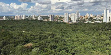 Mato Grosso é o 5º estado com mais moradores em ruas arborizadas, aponta IBGE