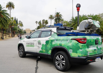 Carros equipados com câmera 360 graus vão escanear árvores em São Paulo