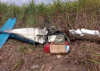 Avião que transportava cocaína cai em canavial em Alagoas; piloto morre