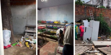 Hamster comia cadáveres de animais mortos em canil clandestino em Cuiabá