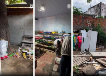 Família que mantinha dezenas de cães e hamsters presos em situação degradante paga R$ 2,3 mil e fica livre