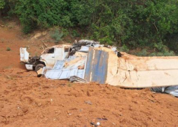 Caminhão carregado com madeira tomba em rodovia