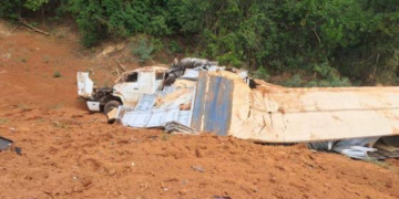 Caminhão carregado com madeira tomba em rodovia