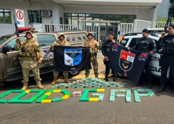 PM de MT e Goiás apreendem R$ 15 milhões em drogas em ônibus; vídeo