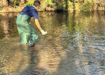 Análise da Sema constata que sete praias em MT estão impróprias para banho