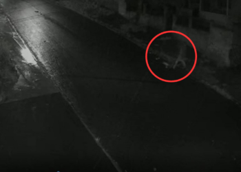 Vídeo mostra homem arrastando corpo após homicídio em Apucarana; veja