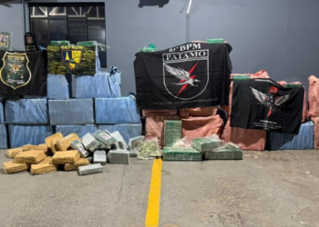 Operação apreende 900 kg de cocaína em pista de pouso clandestina
