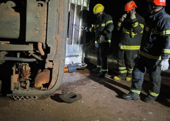 Caminhão carregado com bois tomba e motorista morre