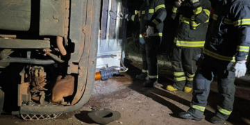 Caminhão carregado com bois tomba e motorista morre