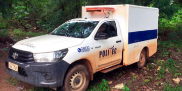 Corpo é encontrado carbonizado em região de mata no interior de MT