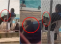 Vídeo mostra professor filmando alunas em piscina no IFMT; veja