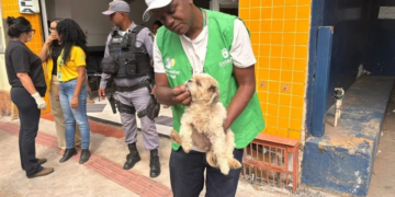 Cachorro é resgatado de casa onde mãe e filho foram achados mortos em Cuiabá