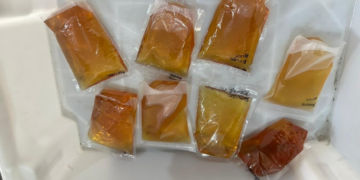 Advogada tenta entrar com pacotes de uísque na PCE