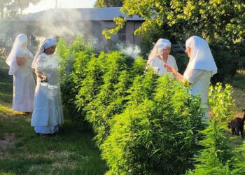 Quem são as freiras maconheiras que inspiraram Paul Thomas Anderson?